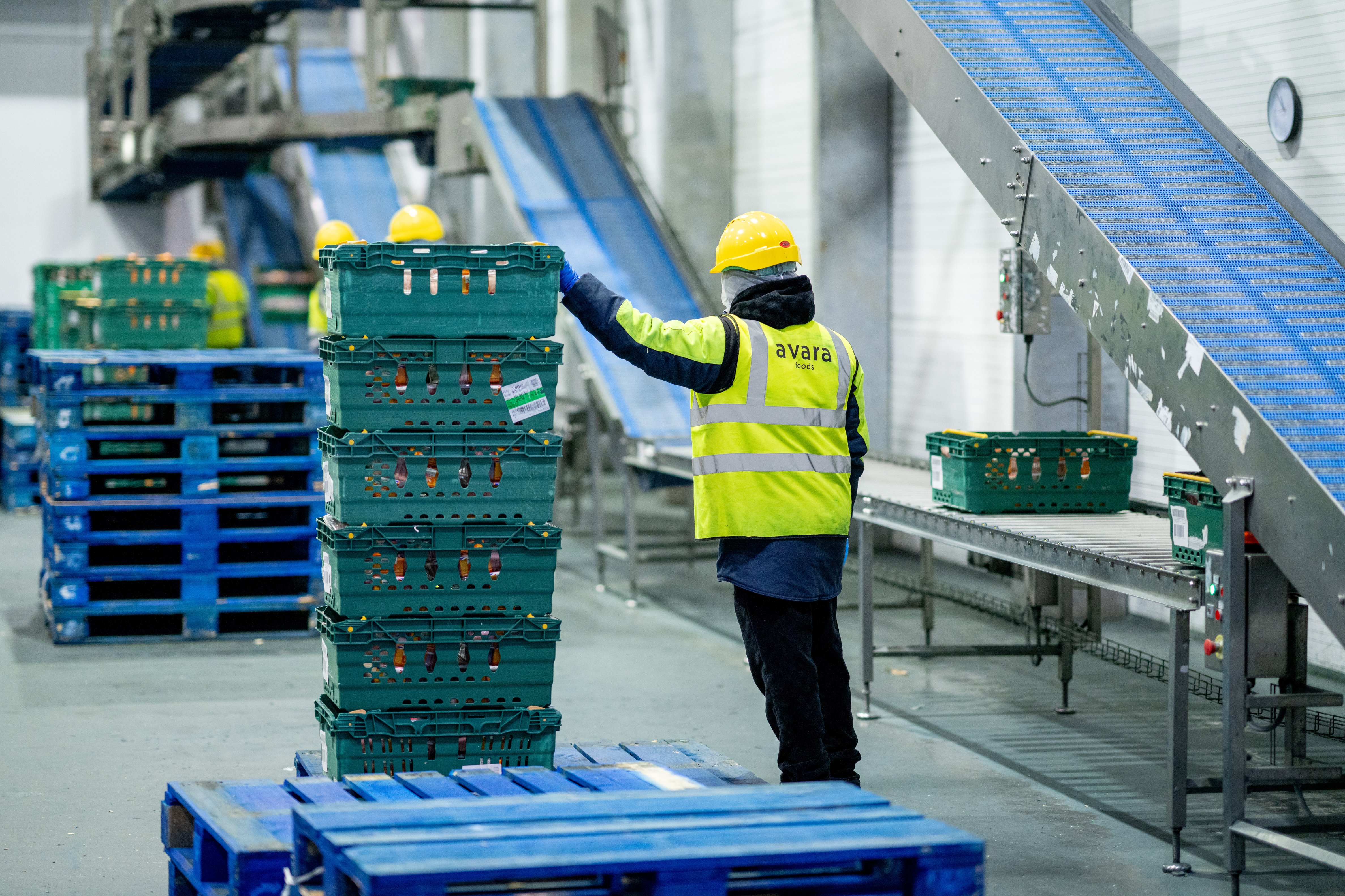 AVARA TELFORD 2025 110-2