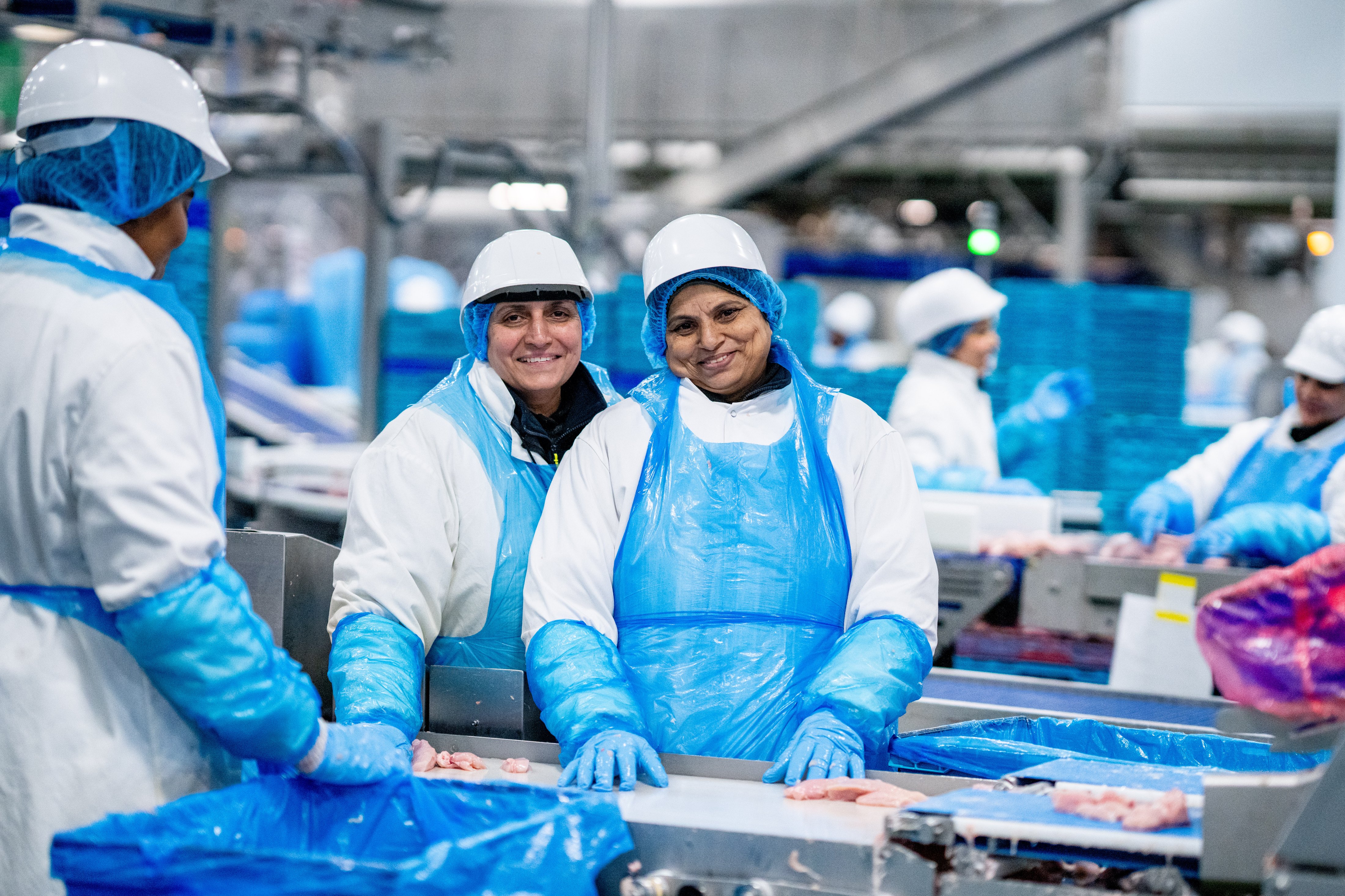 AVARA TELFORD 2025-249