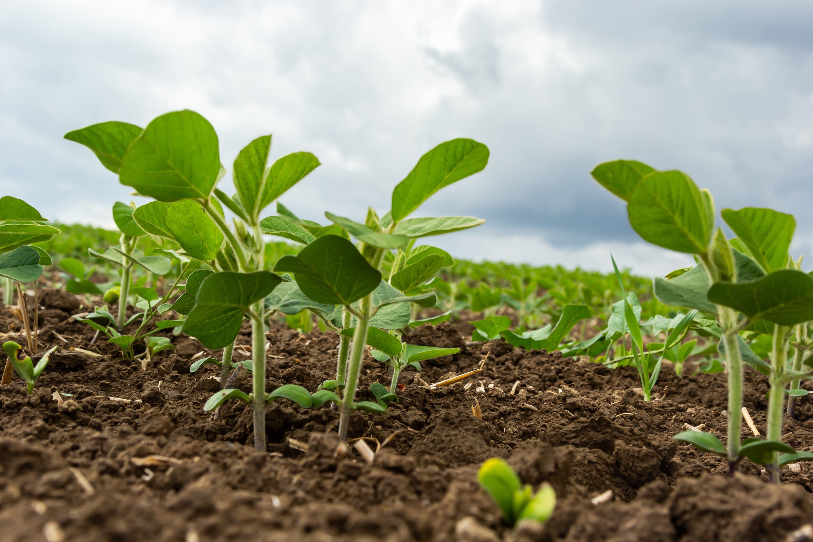 AdobeStock_528176255